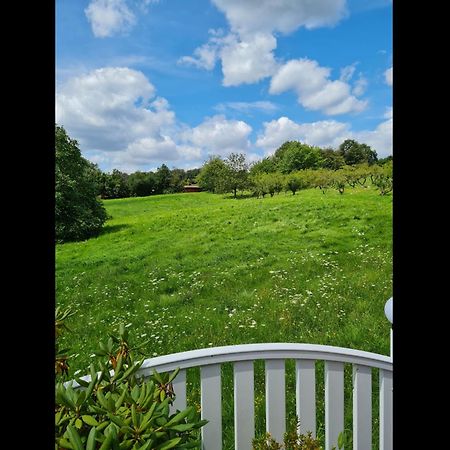 Neu Ferienwohnung Odenwald Rimhorn Bagian luar foto